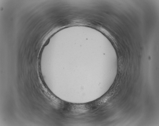 X0000060551431200511241214