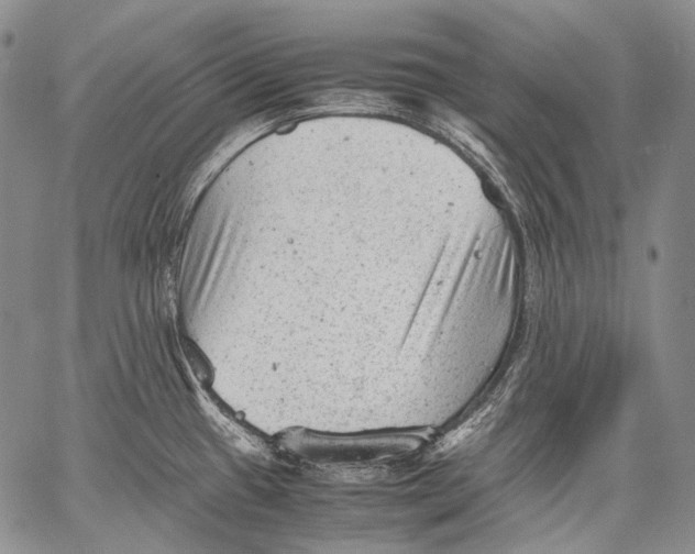 X0000060551433200511241214