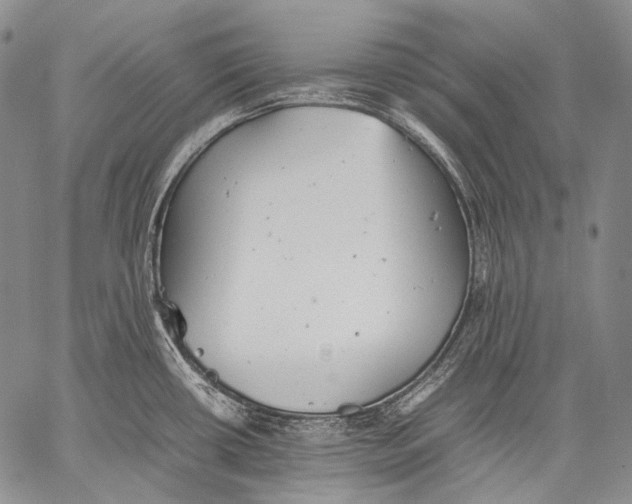 X0000060551434200511241214