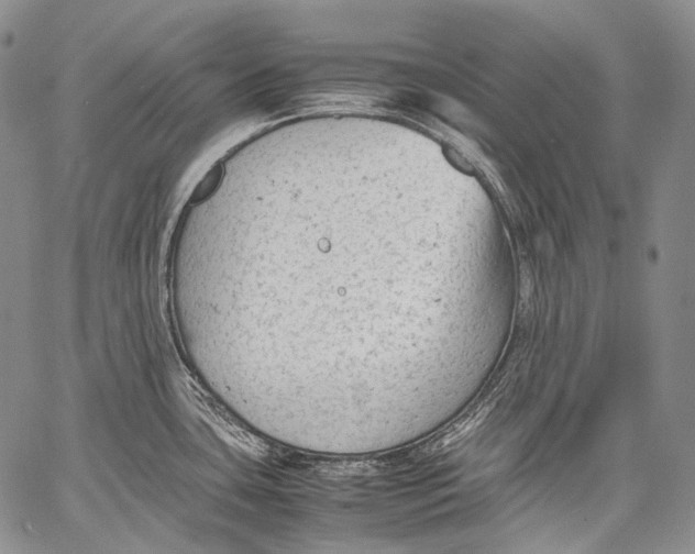 X0000060551435200511241214