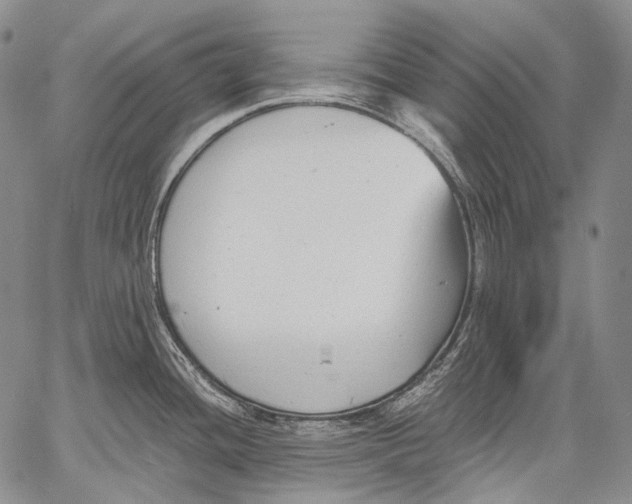 X0000060551436200511241214