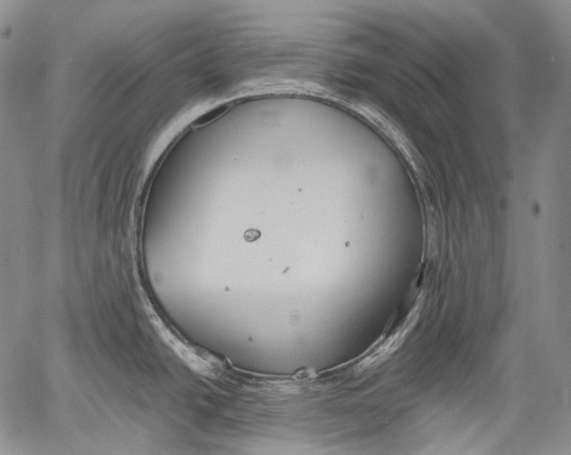 X0000060551438200511241214