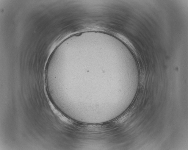 X0000060551439200511241214