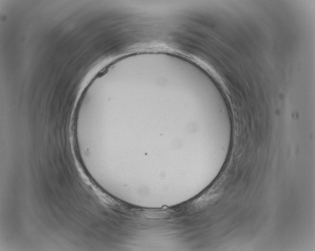 X0000060551440200511241214