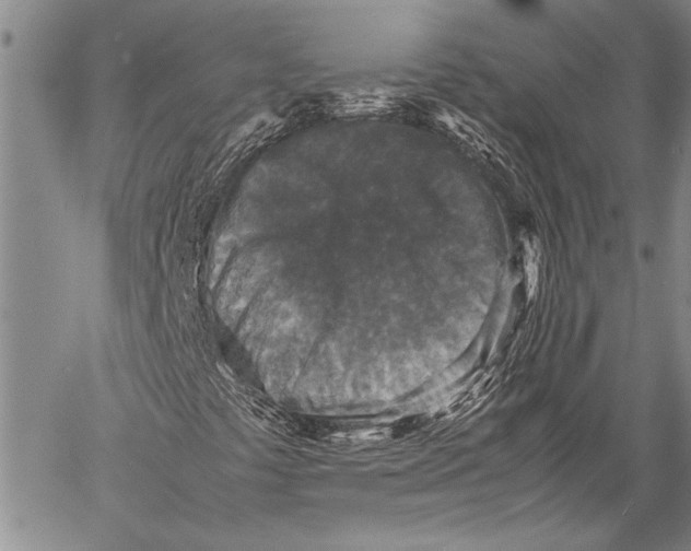 X0000060551441200511241213