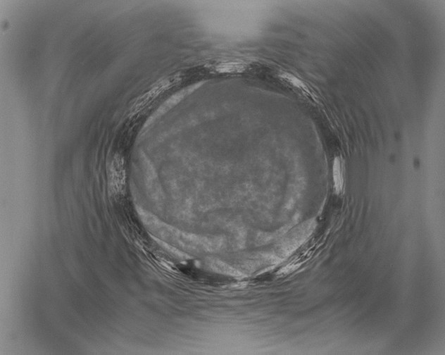 X0000060551443200511241213