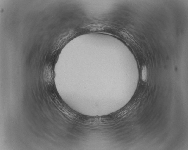 X0000060551444200511241213