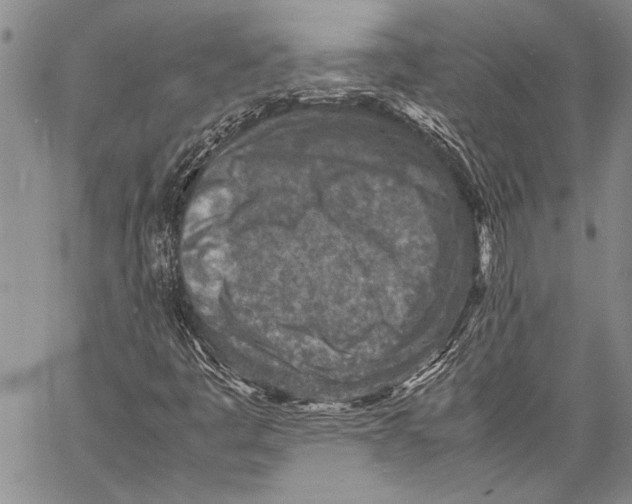 X0000060551445200511241213