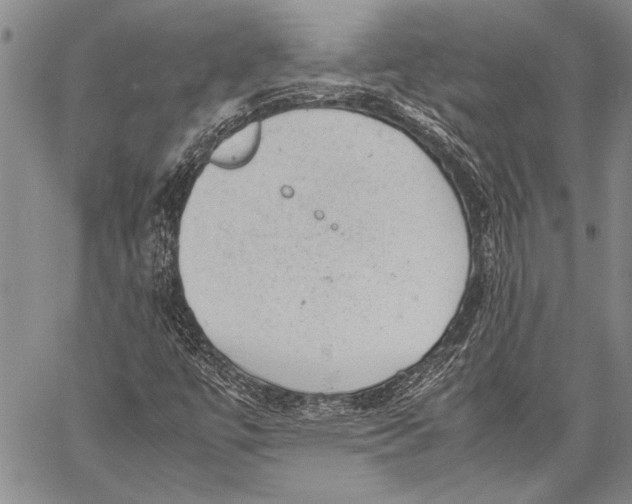 X0000060551447200511241213