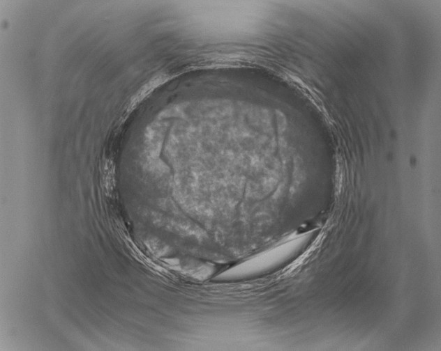 X0000060551449200511241213