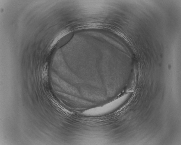 X0000060551450200511241213