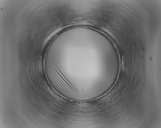 X0000060551452200511241213