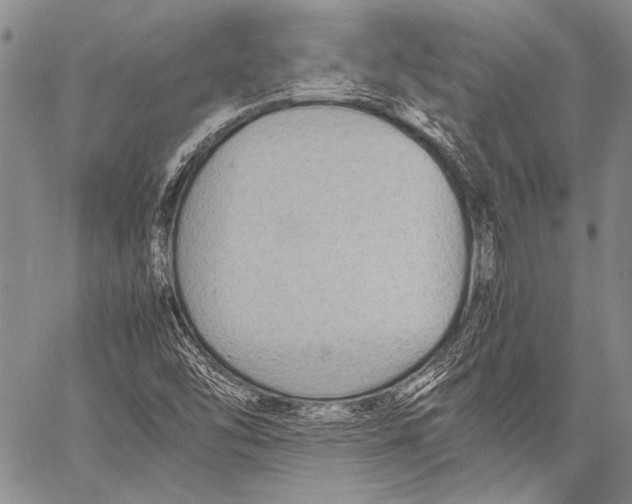 X0000060551454200511241213