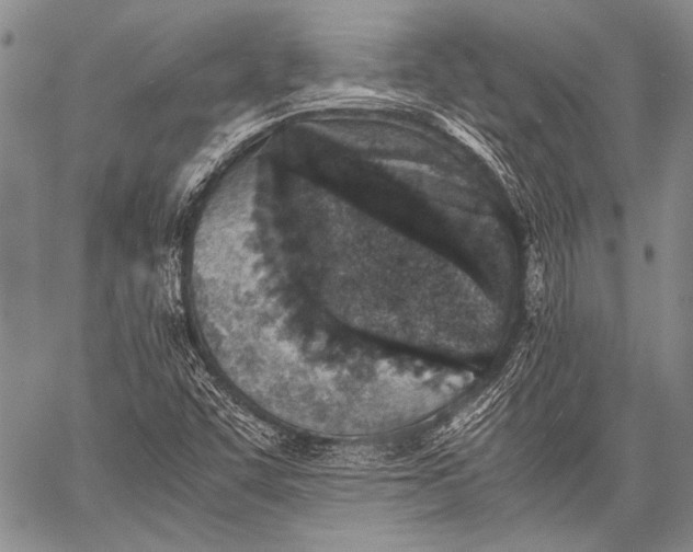 X0000060551455200511241213