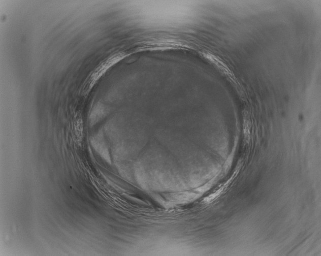 X0000060551457200511241213