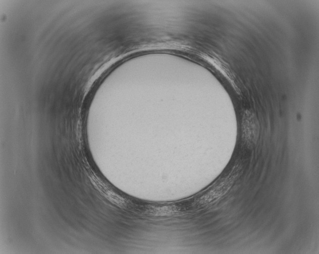 X0000060551460200511241213