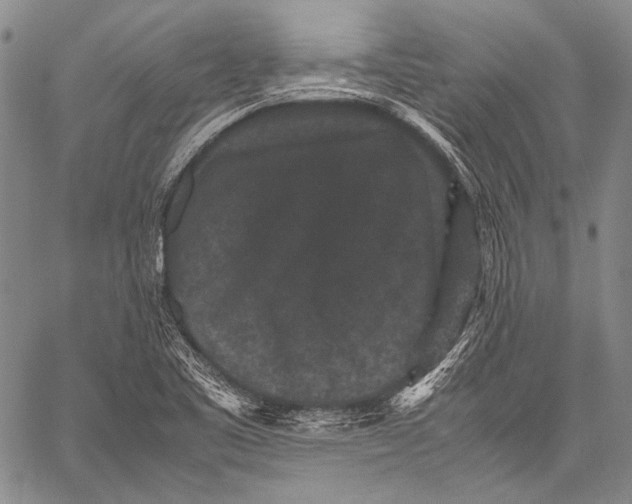 X0000060551461200511241213