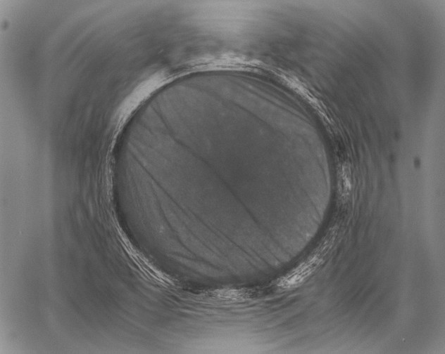 X0000060551463200511241213