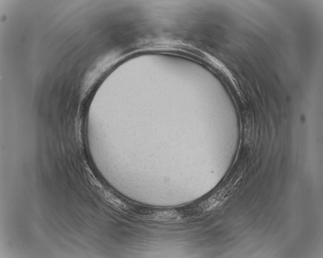 X0000060551464200511241213