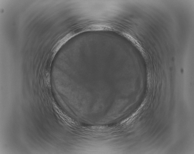 X0000060551465200511241213