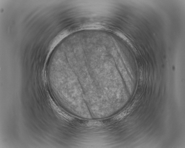 X0000060551466200511241213