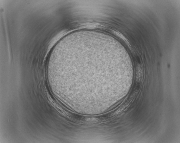 X0000060551467200511241213