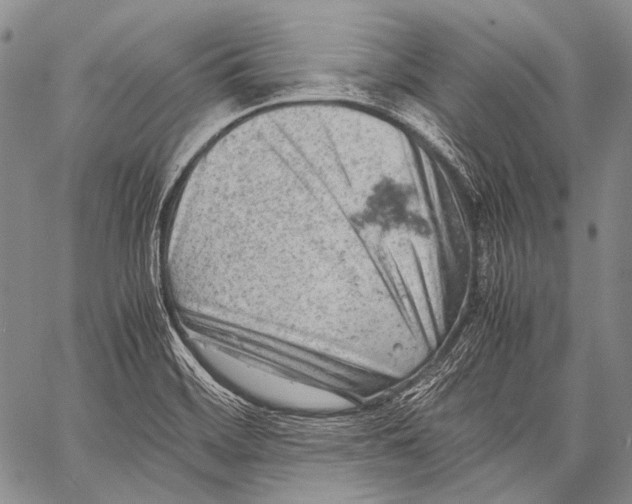 X0000060551468200511241213