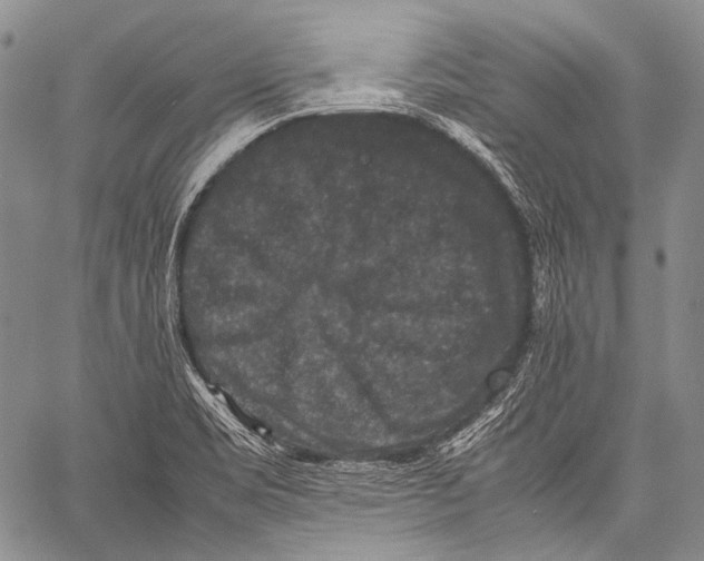 X0000060551469200511241213