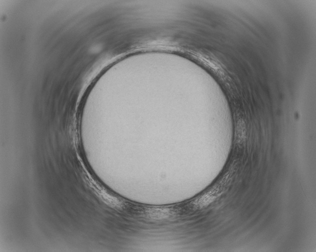 X0000060551470200511241213