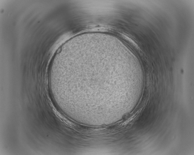 X0000060551471200511241213