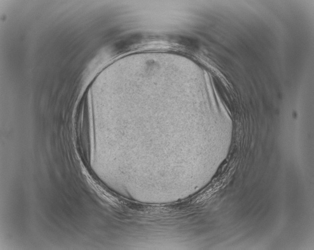 X0000060551475200511241213