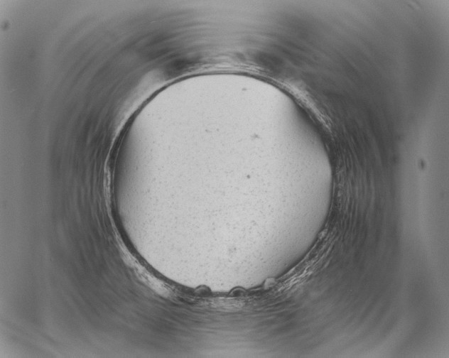 X0000060551476200511241213