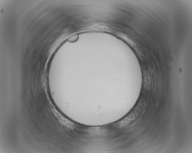 X0000060551478200511241213