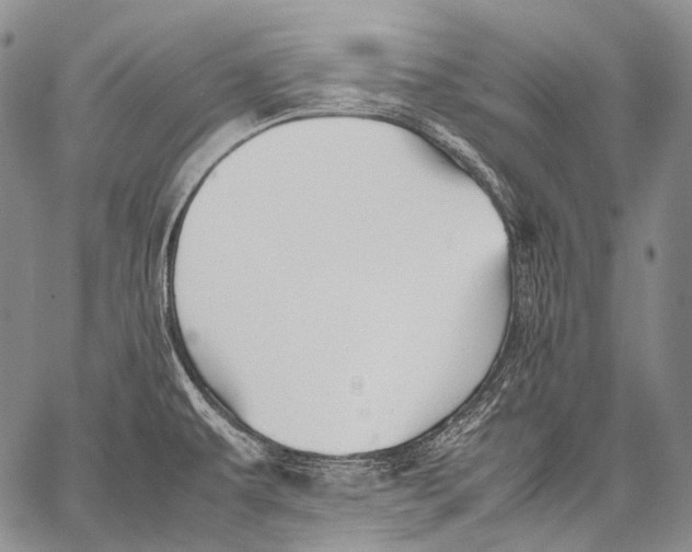 X0000060551479200511241213