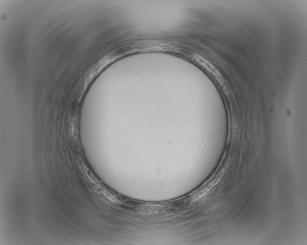 X0000060551481200511241213