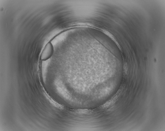 X0000060551482200511241213