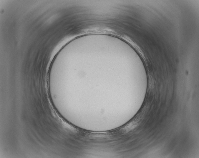 X0000060551486200511241213