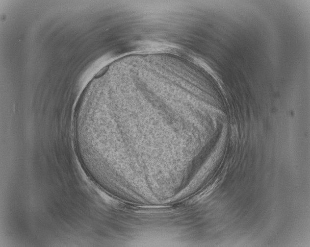 X0000060551487200511241213