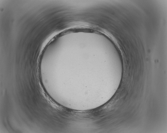 X0000060551488200511241213