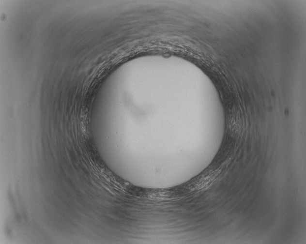 X0000060551490200511241212