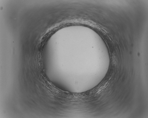 X0000060551494200511241212