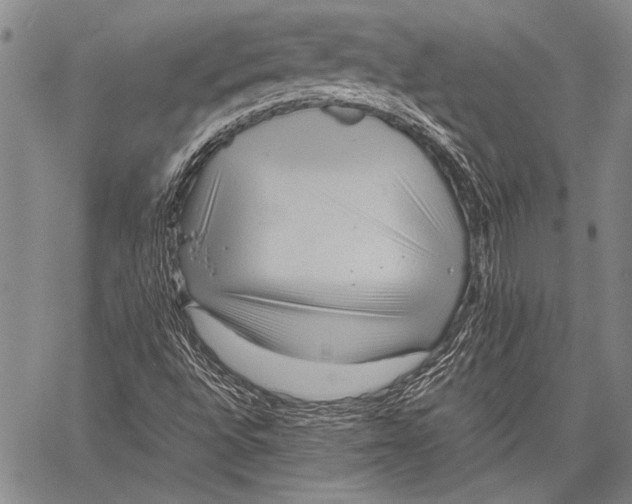 X0000060551496200511241212