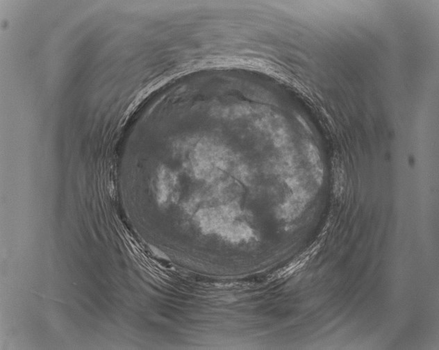 X0000060551497200511241212