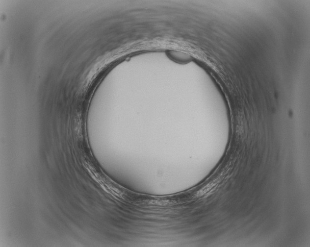 X0000060551499200511241212