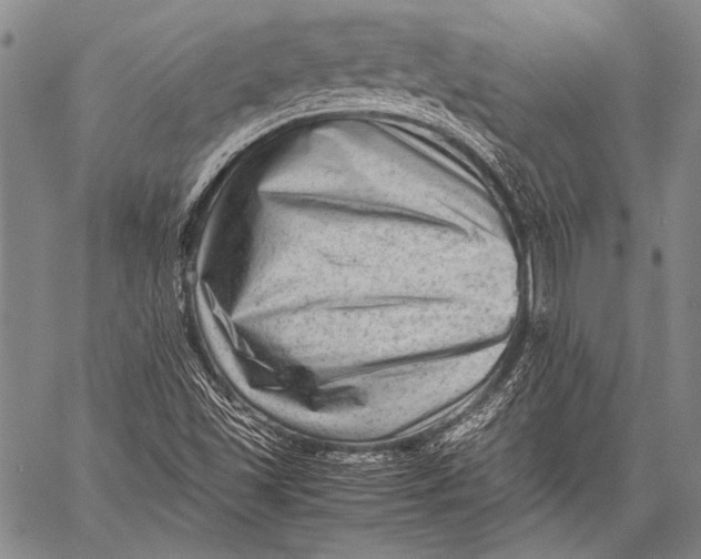 X0000060551501200511241212