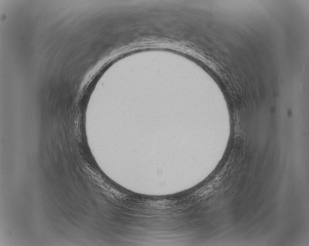 X0000060551502200511241212