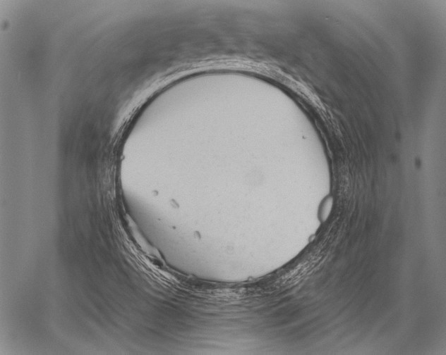 X0000060551504200511241212