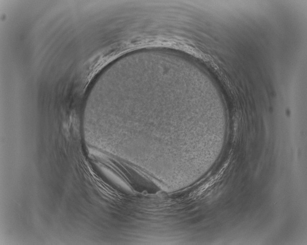 X0000060551505200511241212