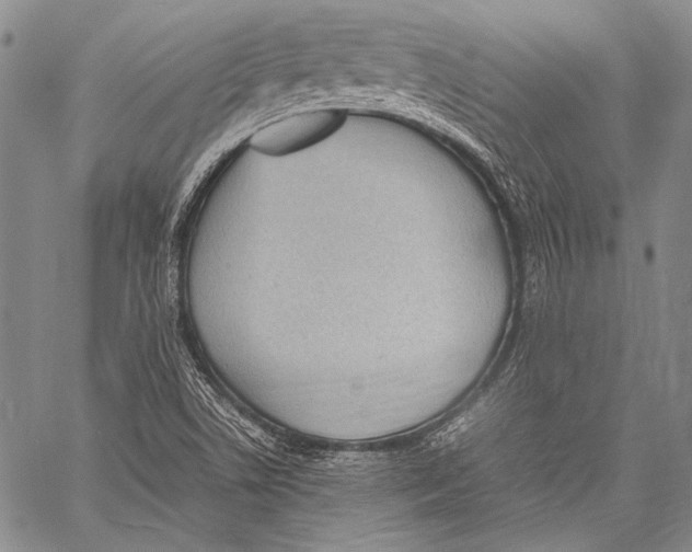 X0000060551506200511241212