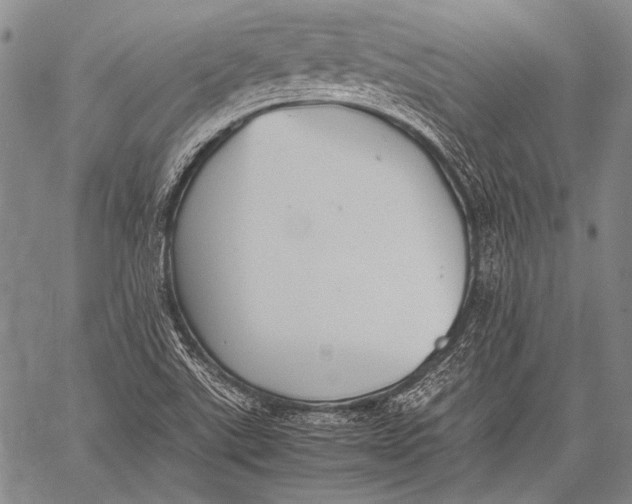 X0000060551507200511241212